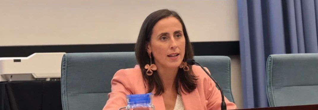 Patricia Frade Ortea interviniendo en una jornada profesional
